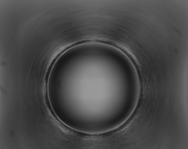X0000090881040200708031027