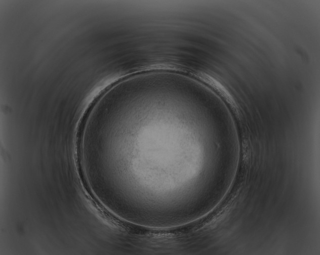 X0000090881043200708031027