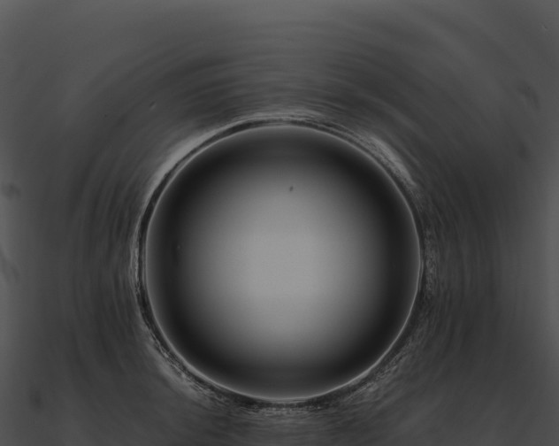 X0000090881044200708031027