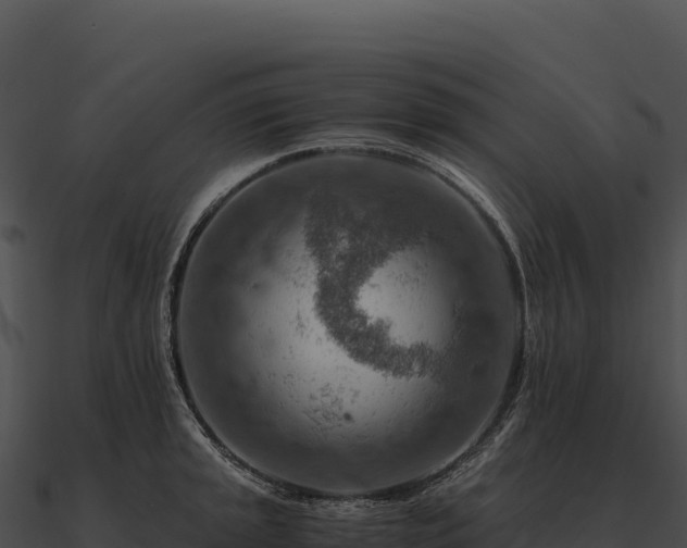 X0000090881045200708031027