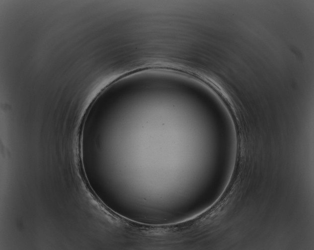 X0000090881048200708031027