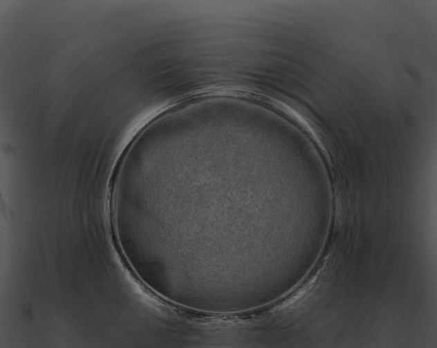 X0000090881050200708031027