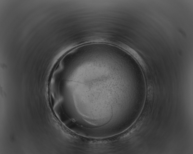 X0000090881051200708031027