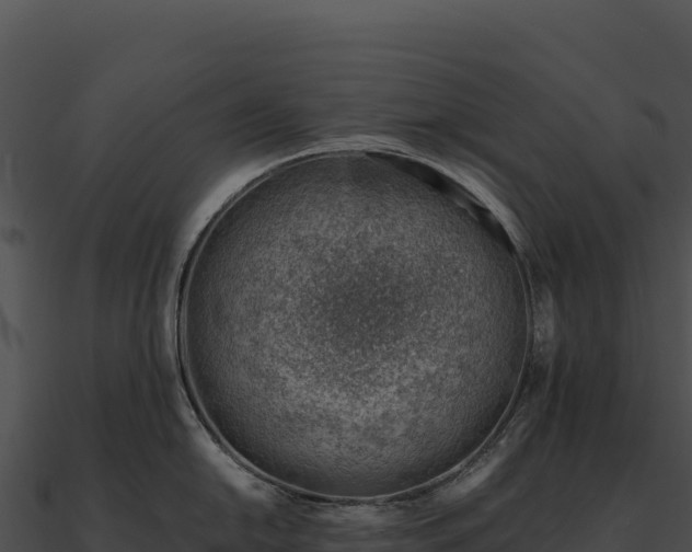 X0000090881054200708031027