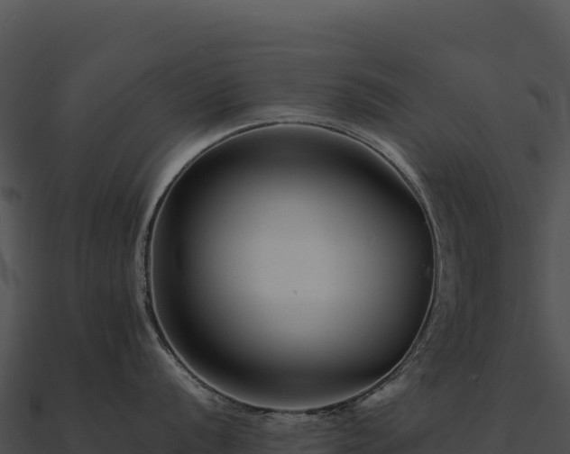 X0000090881056200708031027