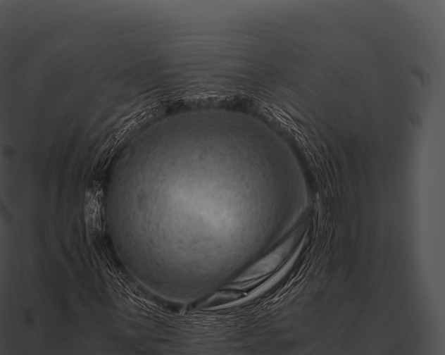 X0000090881059200708031026