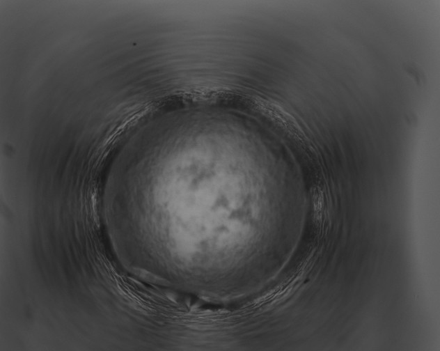 X0000090881060200708031026