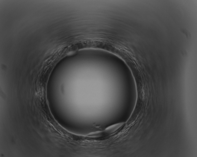 X0000090881061200708031026