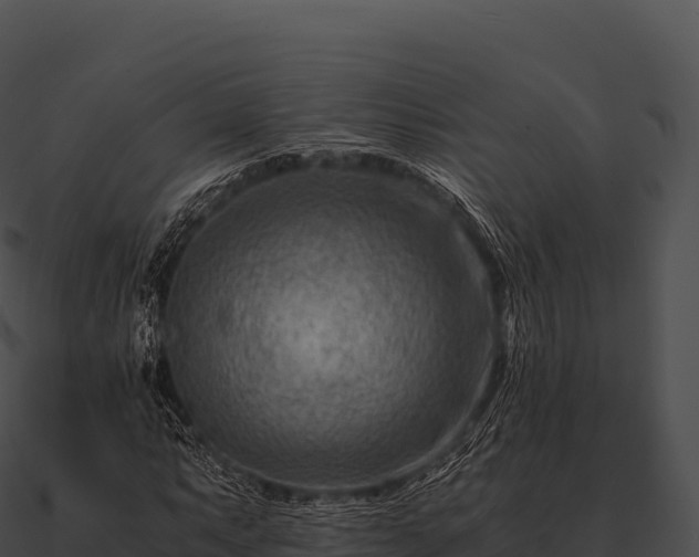 X0000090881063200708031026