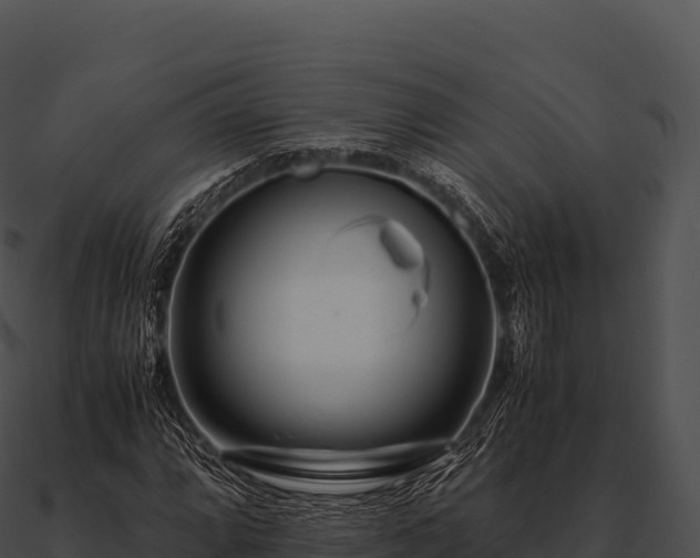 X0000090881064200708031026