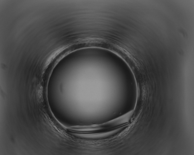 X0000090881066200708031026