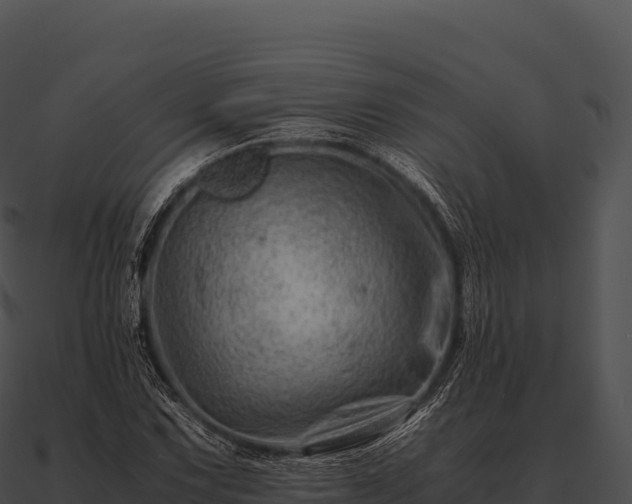 X0000090881067200708031026