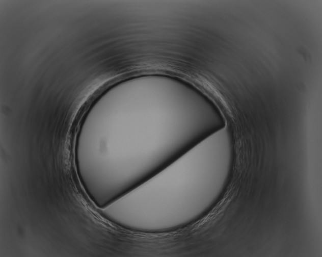 X0000090881068200708031026
