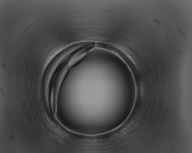X0000090881069200708031026