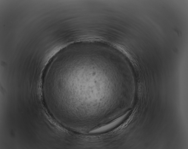 X0000090881071200708031026