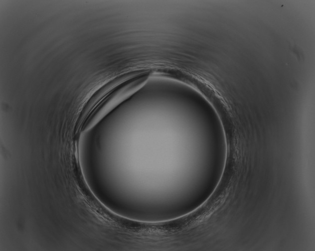 X0000090881073200708031026