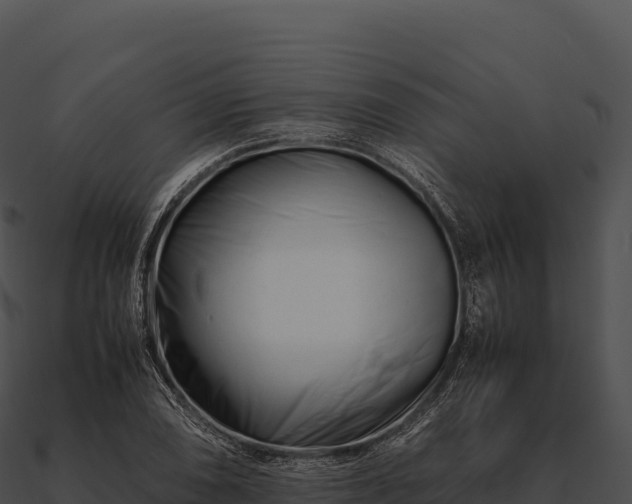 X0000090881074200708031026