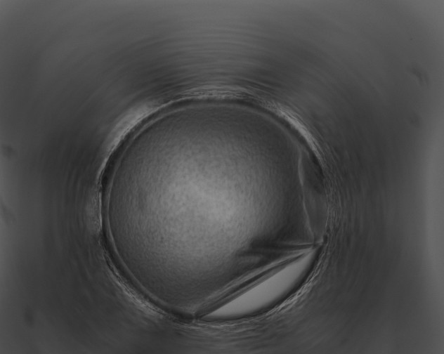 X0000090881075200708031026