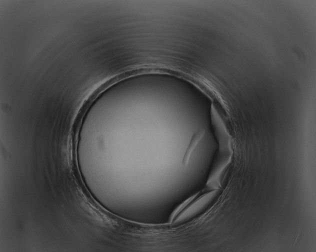 X0000090881076200708031026