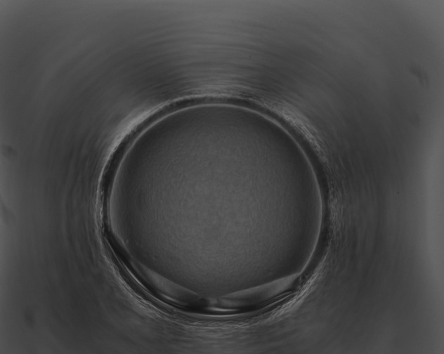 X0000090881077200708031026