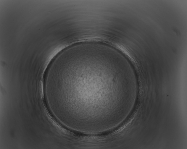 X0000090881079200708031026