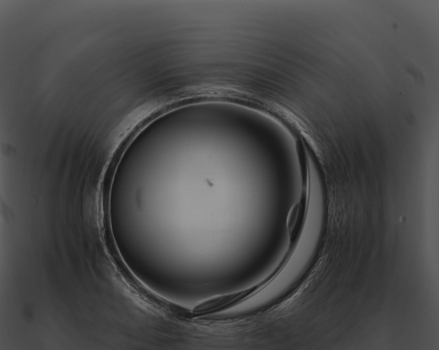 X0000090881082200708031026