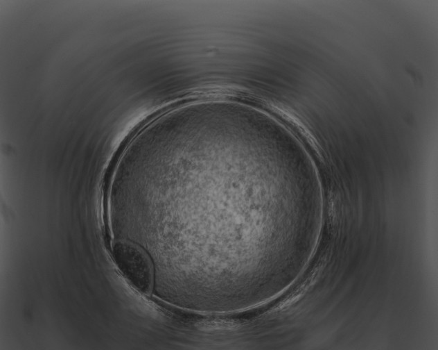 X0000090881083200708031026