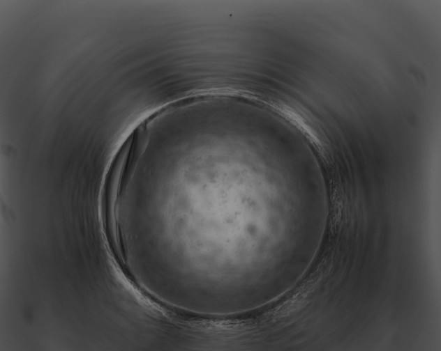 X0000090881084200708031026