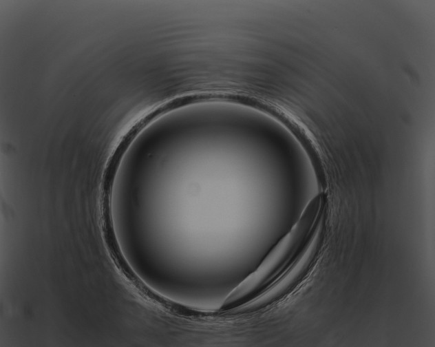 X0000090881085200708031026