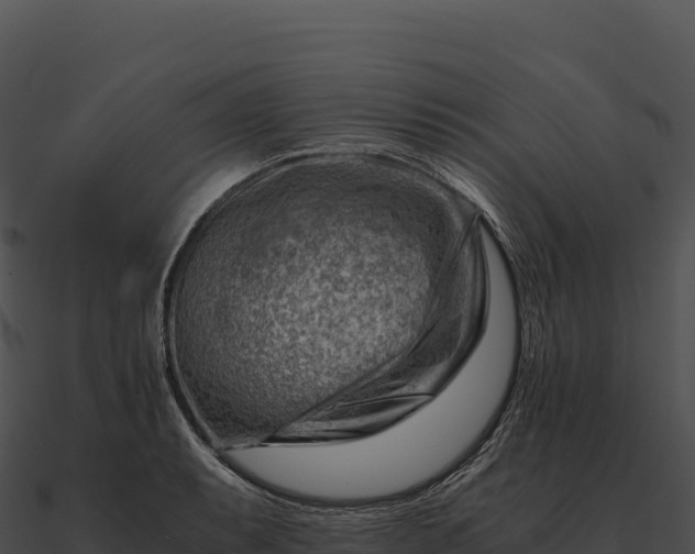 X0000090881087200708031026