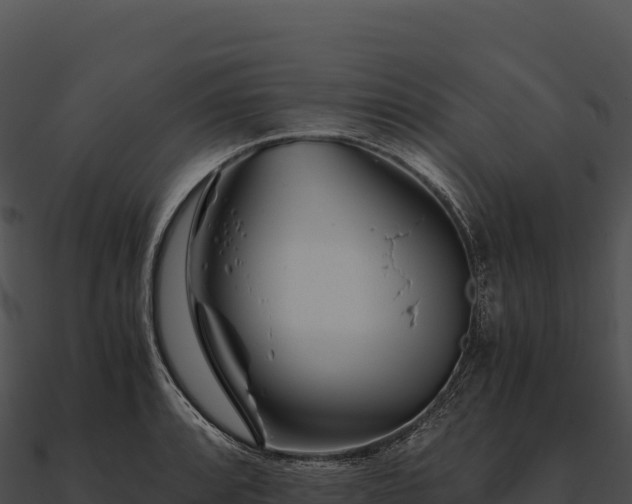 X0000090881088200708031026