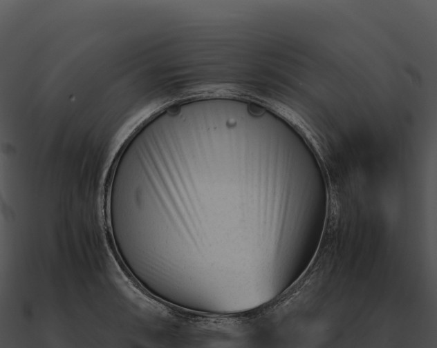 X0000090881090200708031026