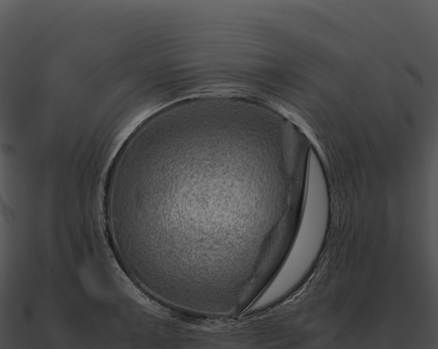 X0000090881091200708031026
