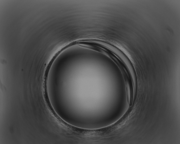 X0000090881093200708031026