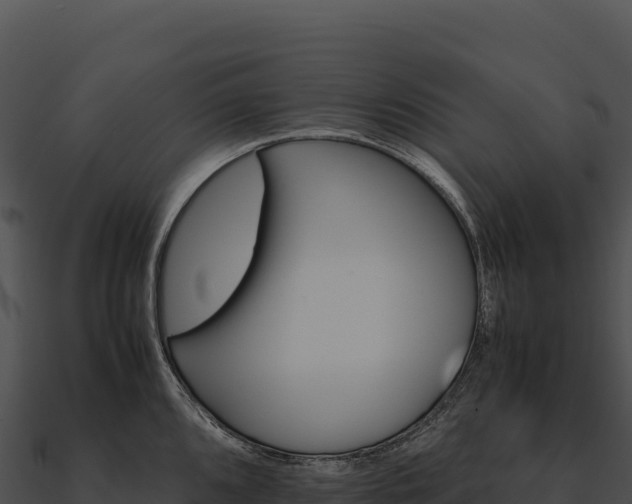 X0000090881096200708031026