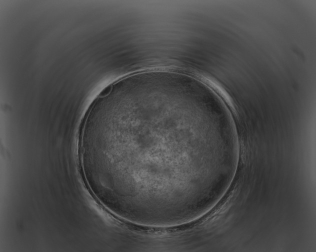 X0000090881099200708031026