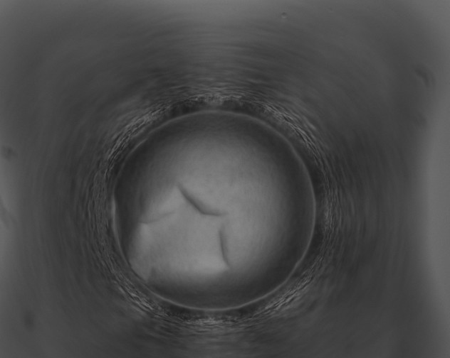 X0000090881105200708031025
