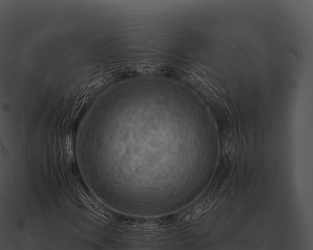 X0000090881106200708031025