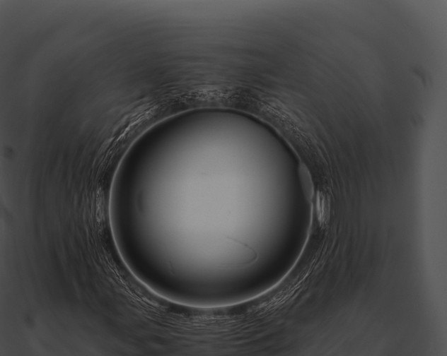 X0000090881107200708031025