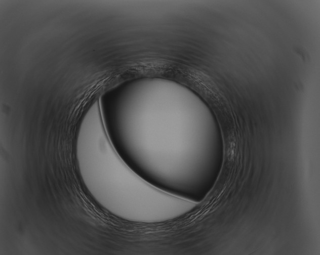 X0000090881108200708031025