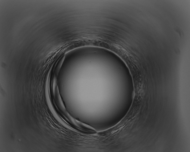 X0000090881110200708031025