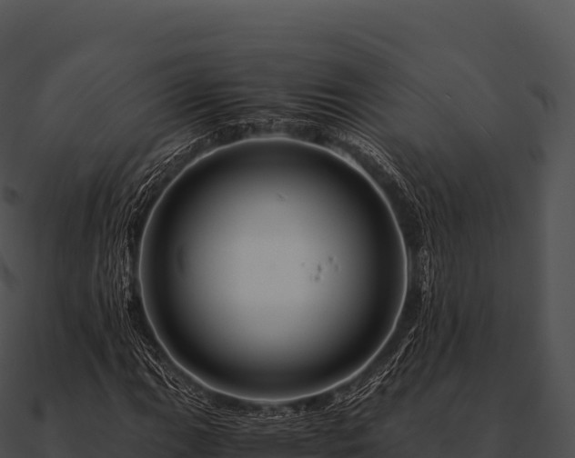 X0000090881111200708031025