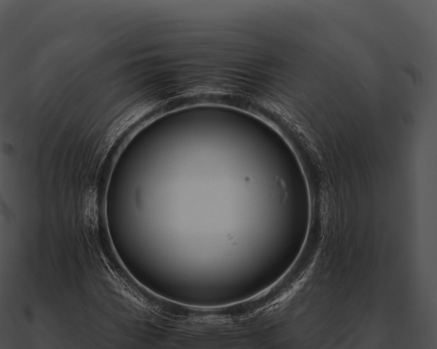 X0000090881113200708031025