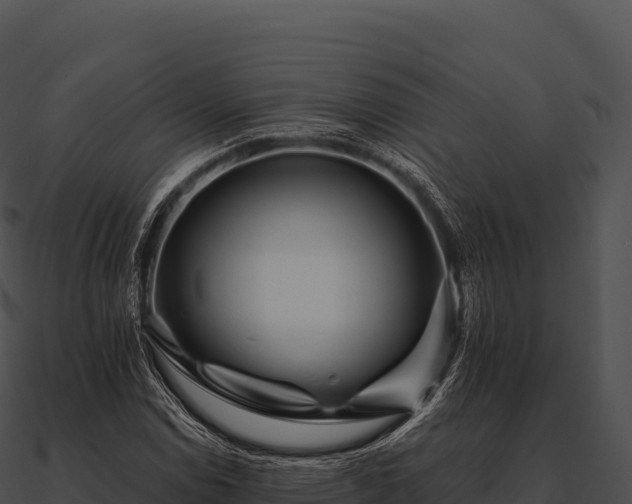 X0000090881114200708031025