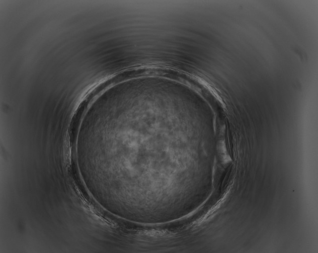 X0000090881117200708031025