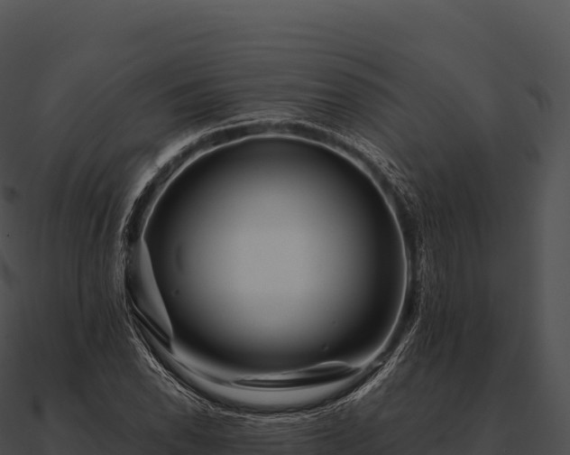 X0000090881118200708031025