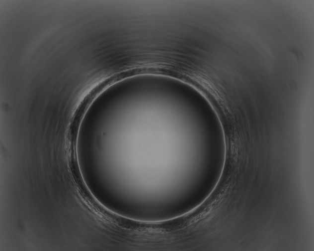 X0000090881119200708031025