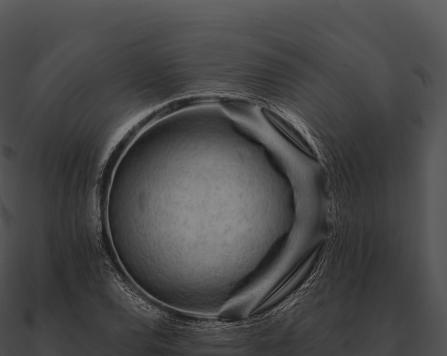 X0000090881120200708031025