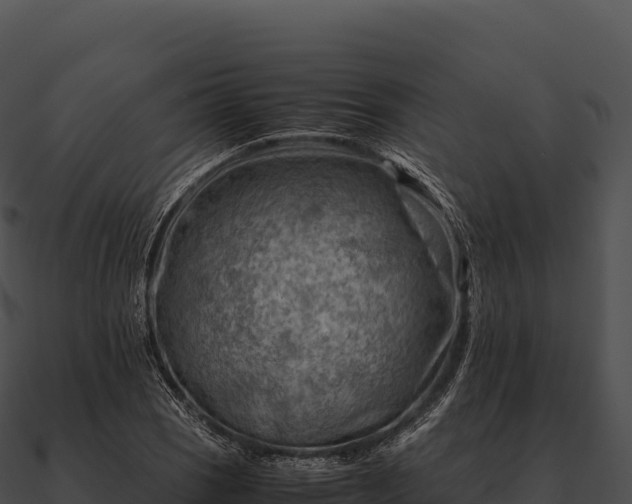 X0000090881121200708031025