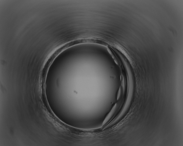 X0000090881124200708031025